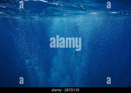 Air bubbles underwater rising to water surface, natural scene, Mediterranean sea, France Stock Photo