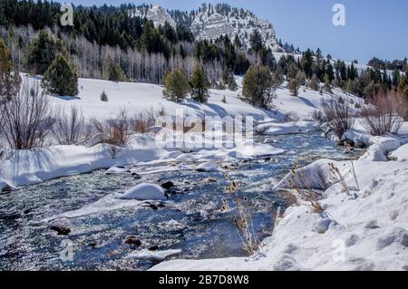 Icy Mountain Stream in Utah:  Bright sunlight sparkles on the surface of a stream flowing through ice and snow in the Mt. Naomi Wilderness Area. Stock Photo