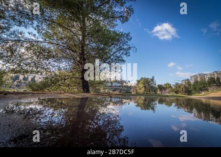 Winter puddles on a dirt path, surrounded by plants. In the Deer Valley, (emek hatsvaim) Jerusalem, Israel. Stock Photo