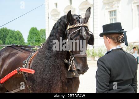 An elegant lady in front of her horse in the gardens of the Reggia di Venaria (Turin, Italy) Stock Photo