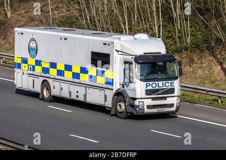 Police Horses transport, HGV Haulage delivery trucks, lorry, transportation, truck, cargo carrier, Volvo vehicle, European commercial transport industry, M61 at Manchester, UK Stock Photo