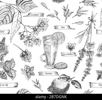 Seamless pattern with vintage hand drawn sketch hot drinc elements isolated on white background. Star anise, cinnamon, lavender, rosemary, lemon Stock Vector