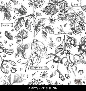 Seamless pattern with vintage hand drawn sketch medicine herbs elements isolated on white background. Cedar, mistletoe, hop, physalis, ashwagandha Stock Vector