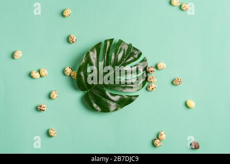 Easter festive card from fresh green tropical leaf of Monstera plant and small quail eggs on a light turquoise background, copy cpace. Happy Easter co Stock Photo