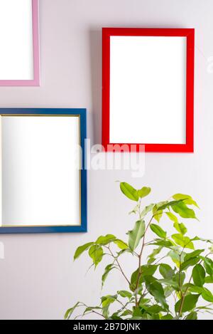 Red frame on a wall room with green in pot, Mock-up Stock Photo