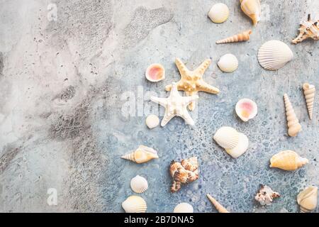 composition of exotic sea shells and starfish on blue background, top view. Summer sea flat lay Stock Photo