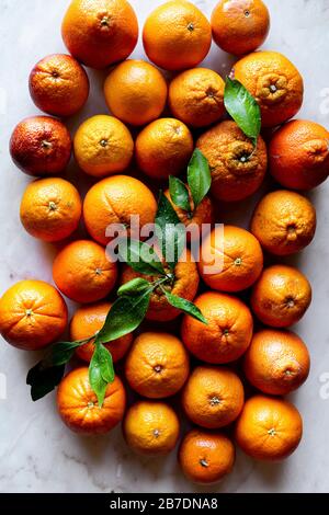 Citrus Fruits Wallpaper Stock Photo