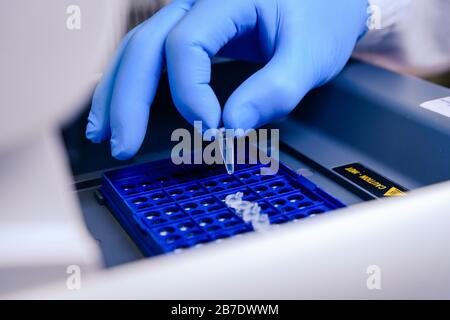Loading a DNA tube into a PCR (polymerase chain reaction) thermocycler ...