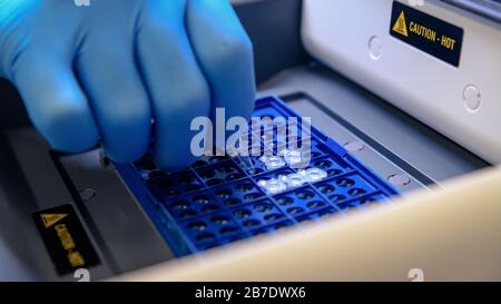 Loading a tube of DNA into a PCR (polymerase chain reaction ...
