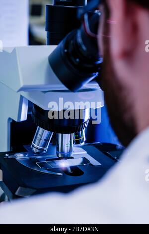 Scientific handling a light microscope examines a laboratory sample for ...
