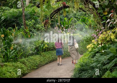 Two women seen in the mist of the National Singapore Orchid Garden. Stock Photo