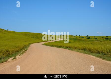 Dirt Road Winds Through Green Fields in countryside Stock Photo