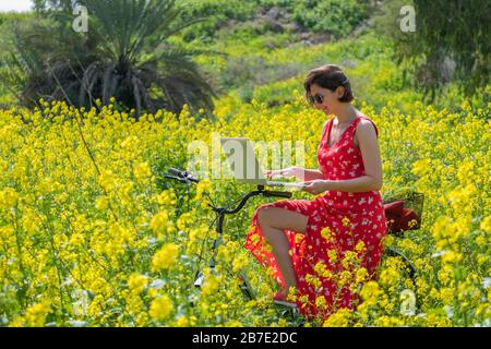a freelancer girl works behind a laptop in a spring flower and sunny field. a freelancer girl is working at a laptop in a spring blooming and Sunny field. the girl came to the field on a Bicycle and sitting on it. UHD slow motion Stock Photo