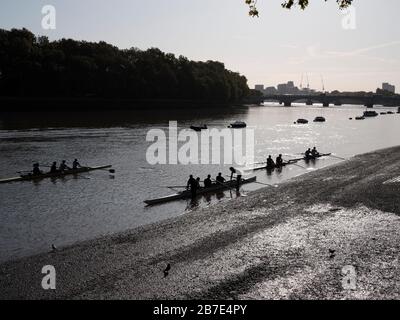 Early morning rowers, training on the River Thames at Putney, London,uk, Stock Photo