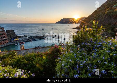 View from Vernazza during sunset with flowers in the foreground at Cinque Terre with blue sky Stock Photo