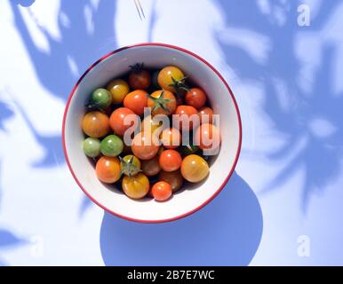 -- Stock Photo