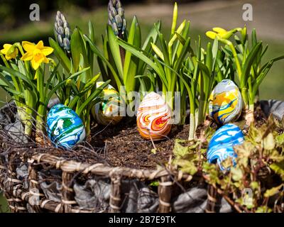 Colored eggs in a easter basket with blury background Stock Photo