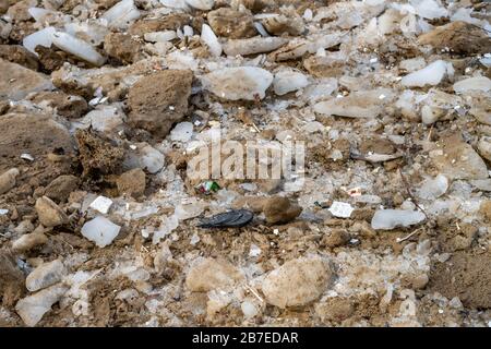 Debris on beach sand winter Stock Photo