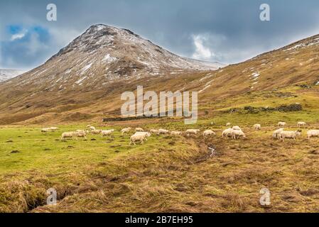 Typical Scottish panorama view, mountains, Highlands, Scotland Stock Photo