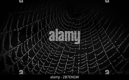 Creative shot of dew moisture on a spiders cobweb with a black background, plenty of copy space Stock Photo