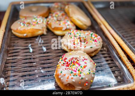 Brown icing donuts with pink sprinkles closeup on bakery tray deep fried vanilla flavor with holes Stock Photo