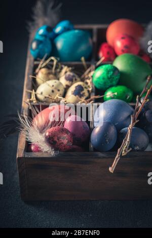 Quail and hen eggs for Easter in dark wooden box Stock Photo