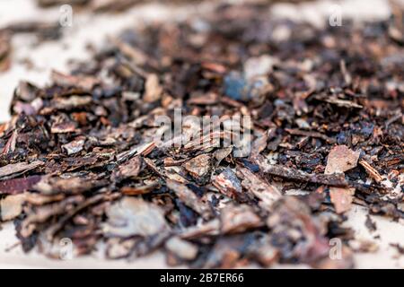 Closeup macro view of wood chips bark peel for gardening mulch for orchids on table showing texture Stock Photo