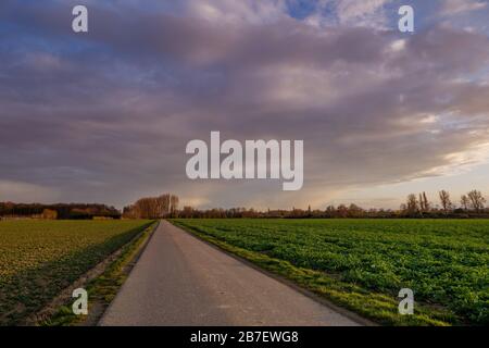 Beautiful dramatic orange and blue cloud and sky after storm and rain over agricultural field and road on countryside area Stock Photo