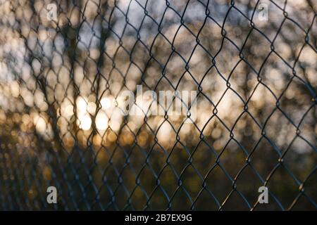 Silhouette selected focus or close up view of green metal grill fence and blur background of natural atmosphere with tree, cloud sky and sunlight. Stock Photo
