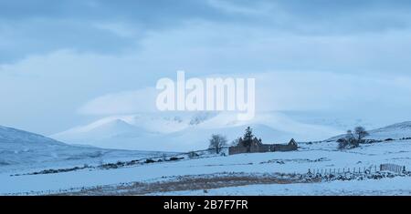 Predawn morning winter mountain panorama with snow covered trees ...