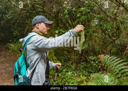 A young man in a cap with a backpack behind him on a walk through the unique enaga forest of Anaga. Holds a lichen in his hand. Pure nature and clean Stock Photo