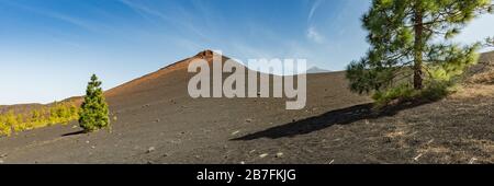 Super wide panoramic view of Volcano Arenas Negras and lava fields around. Bright blue sky and white clouds. Teide National Park with Teide volcano in Stock Photo