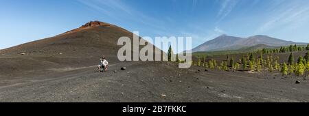 Super wide panoramic view of Volcano Arenas Negras and lava fields around. Bright blue sky and white clouds. Young traveler sits on a stone and rests. Stock Photo