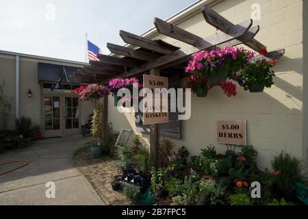 Back Alley photo from the small town of Foley, Alabama, USA. Stock Photo