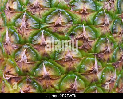 Close up shot of pineapple fruit texture Stock Photo