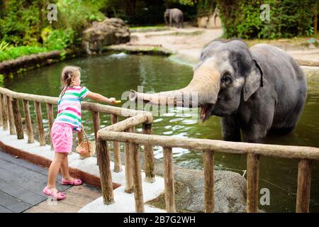 Family feeding elephant in zoo. Children feed Asian elephants in tropical safari park during summer vacation in Singapore. Kids watch animals. Little Stock Photo