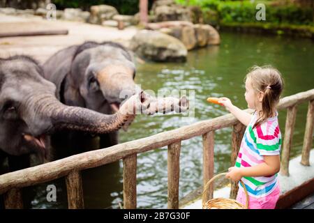 Family feeding elephant in zoo. Children feed Asian elephants in tropical safari park during summer vacation in Singapore. Kids watch animals. Little Stock Photo