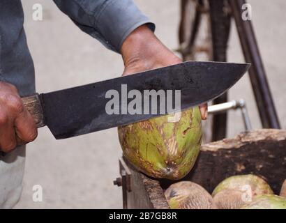 A coconut seller or vendor cutting a tender coconut which is also called as Nariyal Pani in india Stock Photo