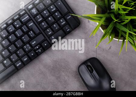 Working place on dark table with copy space. Table with keyboard, computer mouse, flower in pot. Flat lay. Top view, the sun's rays from the side Stock Photo