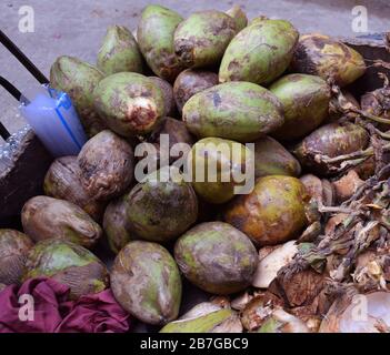 Heaps of tender coconut displayed for sale Stock Photo