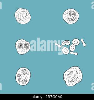 Bacteria and virus cell black sketch decorative icons set isolated vector illustration Stock Vector