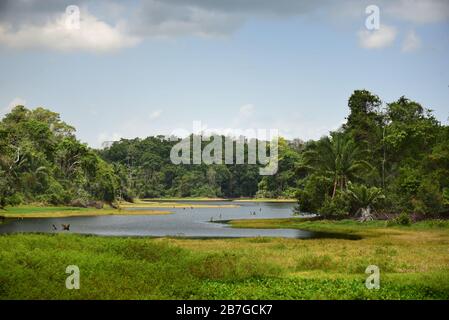 View of Soberania National Park and Chagres River. Gamboa, Panama Stock Photo