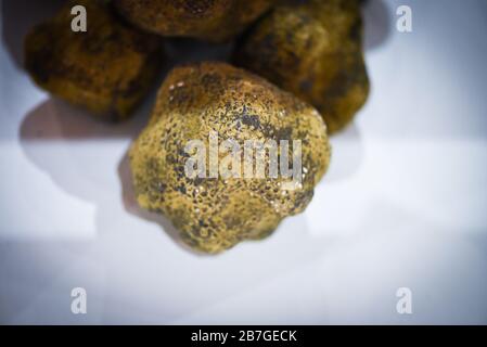 fresh truffles close up view Stock Photo