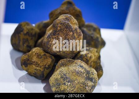 fresh truffles close up view Stock Photo