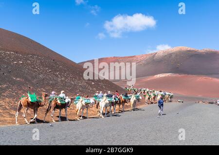 Caravan walking in Timinfaya National Park, Lanzarote, Canary Islands, Spain Stock Photo