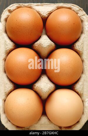 Vertical Image of Organic Chicken Eggs in Paper Carton Box Stock Photo
