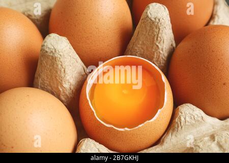 An opened shell fresh organic egg in the carton box Stock Photo