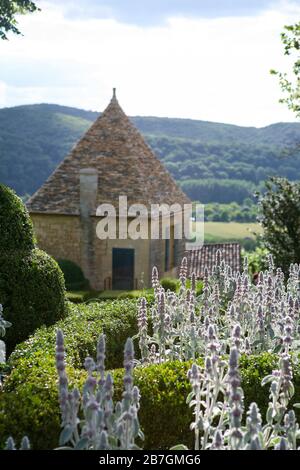 Stachys byzantina catching sunlight, box topiary parterres, traditional French outhouse, view of landscape beyond, Les Jardins de Marqueyssac Dordogne Stock Photo