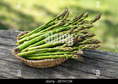 Asparagus. Fresh Asparagus. Pickled Green Asparagus. Bunches of green asparagus in basket, top view- Image Stock Photo