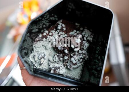 Mold on coffee. Black container of coffee machine. View from above